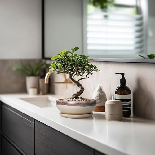 SQOWL Small Bonsai Pots - 6 Inch Ceramic Plant Pots for Succulents, Shallow Planter with Drainage Hole and Saucer, Round Planters for Indoor Outdoor Cactus Plants, House Decor, Birthday Gifts, Beige - Image 6