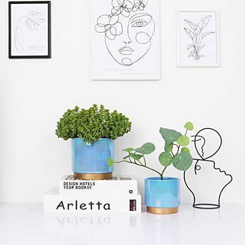 Gepege Ceramic Pots for Plants, Rainbow Pearl Glaze Planter with Drainage Hole, 6.0 inch+5.0 Inch+4.0 Inch. Indoor-Outdoor Large Round Succulent Orchid Flower Pot - Image 5