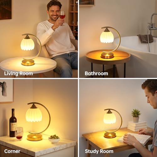 Shenmoyl Set of 2 Tulip Table Lamp, 5200mAh Cordless Touch Control Table Lamps with 3 Color Temps & Stepless Dimming, Rechargeable Battery Table Lamp for Living Room, Bedroom, Shelf (White Tulip) - Image 4