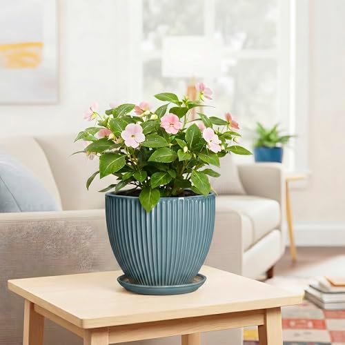 Ceramic Planter, 8 Inch Plant Pot Indoor with Drainage Hole and Saucer, Decorative Planters for Indoor Plants, Modern Flower Pots, Round Planter, Room Decor, Gifts for Plant Lovers, Glaze Blue - Image 6
