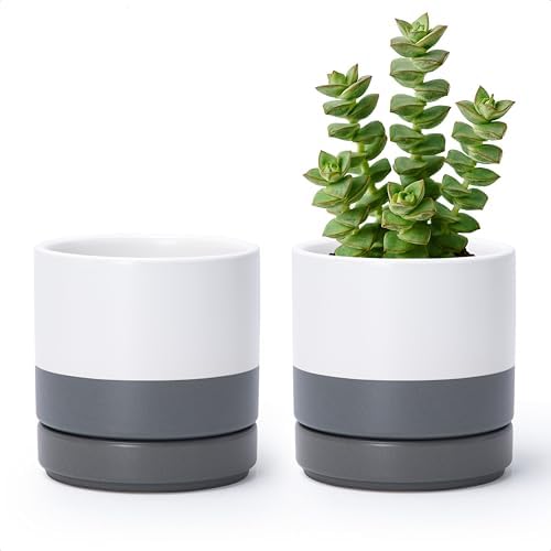 D'vine Dev 2-Pack Ceramic Pots with Saucers, White/Grey, 4.7 in, 94-V-B-6 by DvineDevPlanterPotsandStand