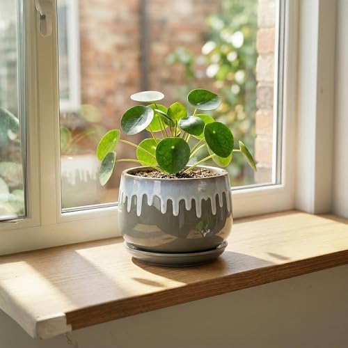 Ceramic Pots for Plants 6 Inch, Indoor Plant Pots, Grey-Blue - Image 3