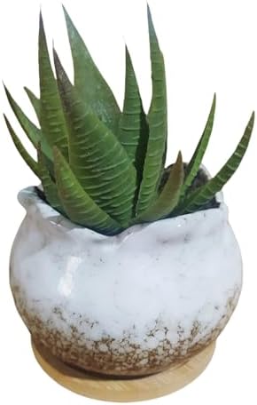 Cute 4" Round Ceramic Home Garden Decoration Succulent Cactus Flower Pots Container -Plant Not Included，White by SJBAG