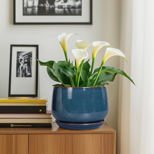 G EPGardening Ceramic Plant Pots - 9 Inch Round Modern Planter Indoor with Drainage and Tray for Indoor Outdoor Flower, Office Decor, Gardening Gifts, Retro Blue - Image 5