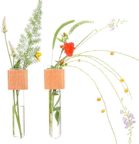 Wooden Wall Planter Glass Plant Propagation Stations Fridge Glass Tube Single Stem Bud Vase 2Pcs/Set Modern Decorative Cube Wood Window Flower Vase Refrigerator Magnetic Mini Glass Vase with Dropper by Gartely