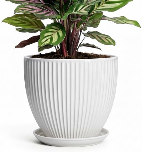 Ceramic Pots for Plants, 6 Inch Plant Pot with Drainage Hole and Saucer, Round Ceramic Flower Pots for Indoor Plants, Modern Small Succulent Planter, Room Home Decor, Plant Lover Gifts, White by Unknown