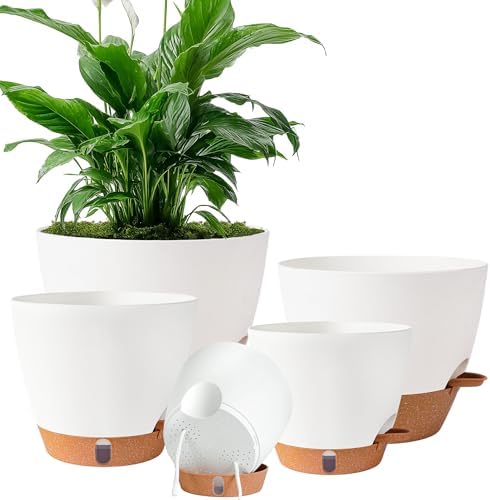 Self Watering Pots for Inoor Ourdoor Plants 10/9/8/7/6.5" Plastic Planters by Fielda