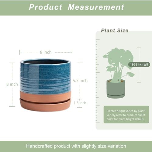 HERDUK 8 Inch Pots for Plants, Ceramic Planter Pot with Drainage Hole & Saucer, Indoor/Outdoor Cylinder Round Planter Pot, Blue & Terracotta - Image 3