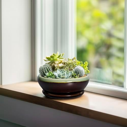 SQOWL Succulent Pots 6 Inch - Shallow Ceramic Planter, Bonsai Pot with Drainage Hole and Saucer, Round Ceramic Succulent Planter for Indoor Outdoor Plant, Kitchen Decor, Plant Lover Gift, Green-Brown - Image 3
