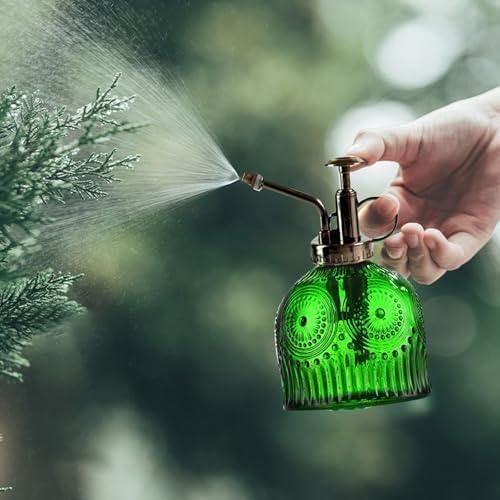 Spray Bottle for Plants, Plant Mister Spray Bottle, Glass Plant Mister Spray Bottle, Embossed Vintage Glass Watering Can, Succulent Watering Bottle with Top Pump for Outdoor (E) - Image 4