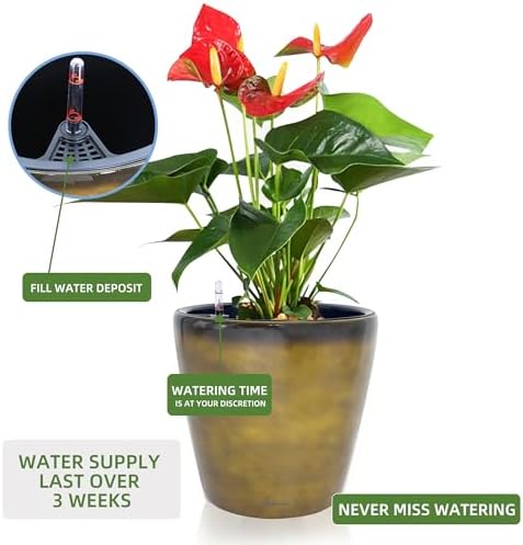 Dexceder 13x12 Self Watering Planter with Wheels (Yellow Brown Gradient) - Image 5