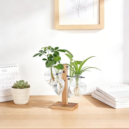 Mkono Propagation Stations,4 Heart Shaped Glass Plant Vases with Wood Stand - Image 6