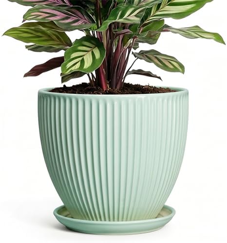 Ceramic Pots for Indoor Plants, 6 Inch Plant Pot with Drainage Hole and Saucer, Round Modern Planters, Decorative Pots for Plants, Home Living Room Decor, Gifts for Plant Lovers, Mint Green by Unknown