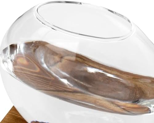 HAKZEON 4 Pack Desktop Round Glass Planter Hydroponics Vase, Glass Planter Terrarium Flower Vase with Wooden Stand, Propagated Plant Jars for Plants, Flower, Home Office Desktop Decor - Image 3