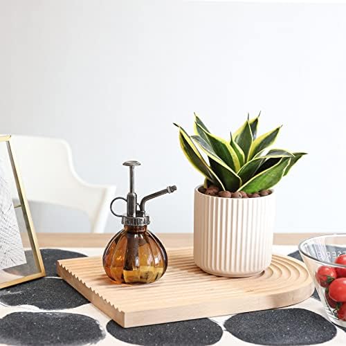 T4U Glass Plant Mister 200ML, Vintage Spray Bottle with Top Pump Fine Mist Flower Garden Sprayer Small Decorative Spritzer Watering Can Gift for Indoor Outdoor Succulent House Plant (Brown) - Image 5