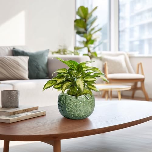 6 Inch Plant Pot - Orchid Pot with Drainage Hole, Ceramic Planter for Indoor Outdoor, Decorative Plant Pots, Modern Round Unique Flower Pots, Living Room Decor, Gifts for Women Men, Green - Image 6