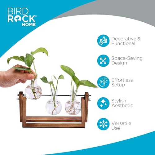 BIRDROCK HOME Plant Propagation Station | 3 Bulb Vase with Wooden Stand Terrarium | Great Gift Idea for the Home Office Garden | Hydroponics Plants - Image 2