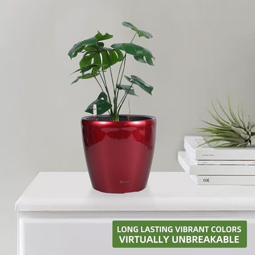 Dexceder 11x10 Self Watering Planter (Red High Gloss) - Image 6