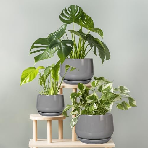 G EPGardening Ceramic Planter 7 Inch, Round, Modern, Gray - Image 7