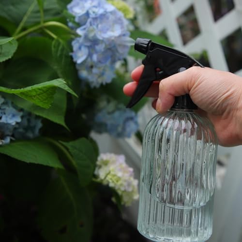 Watering Can for Indoor Plants, Silver Stainless Steel Watering Can 2 Pack - Image 4