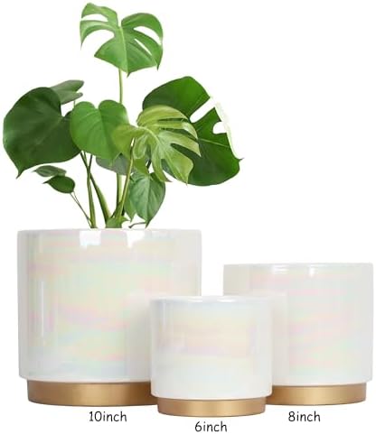 Gepege White Indoor Plant Pots for Plants, Ceramic Planter with Drainage Hole, 7.6 Inch +6 Inch 2pcs Succulent Orchid Flower Pot - Rainbow Pearl Glaze - Image 5