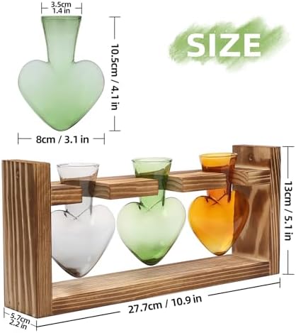 Plant Terrarium Propagation Stations Hydroponics - Image 4