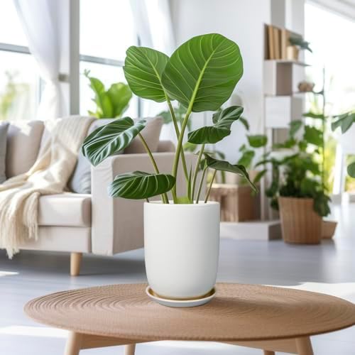 Plant Pot 8 Inch - Ceramic Planter for Indoor Plants Outdoor, Large Plant Pot with Drainage Hole and Saucer, Modern Flower Pot, White - Image 2