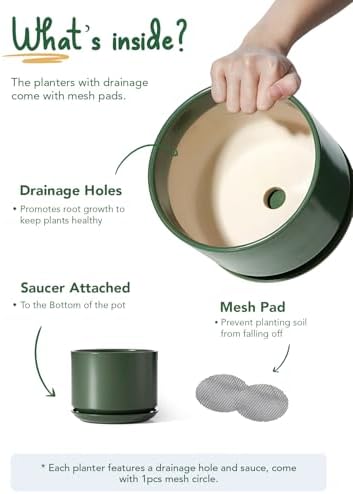LE TAUCI Ceramic Pots for Plants, 6.8 Inch Plant Pots with Drainage Hole & Saucer, Modern Planter for Indoor Plants, Stable & Durable, Perfect for Living Room or Office Decor, Forest Green - Image 3
