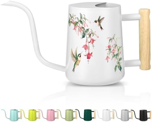 Watering Can Indoor Plants, 35oz Small Stainless Steel Metal Watering Can Modern Decorative Watering Pot with Long Spout for Indoor House Plant Bonsai Garden Flowers (White 1) by GUKJOB
