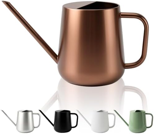 Watering Can for Indoor & Outdoor Plants, 35 oz/1000ml Watering Can with Metal Handle, Stainless Steel Garden Long Spout Watering Pot for Indoor House Plants Bonsai Flower Decorative by Chemlliy
