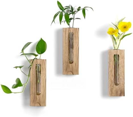 Wood Wall Vase with Glass Tube for Plant Propagation by Walasis