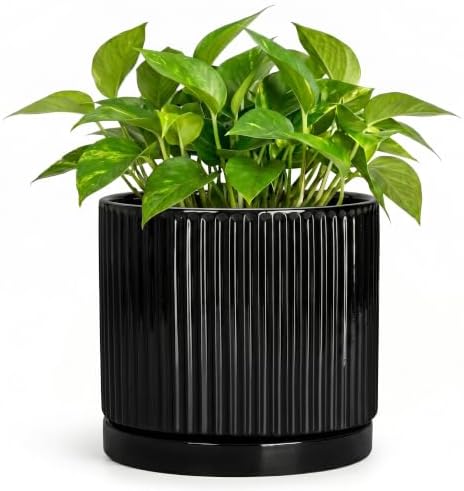Ceramic Pots for Plants, 6 Inch Plant Pots with Saucer, Black by Unknown