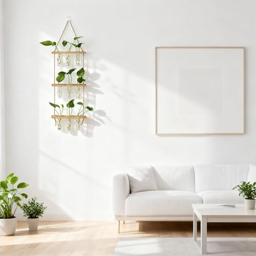 Hyindoor Wall Hanging Propagation Stations 3 Tired Wall Planter Terrarium with Wooden Stand and Glass Test Tubes Plant Hanger Flower Vase for Home Office Wall Decor Hydroponic Cuttings - Image 6