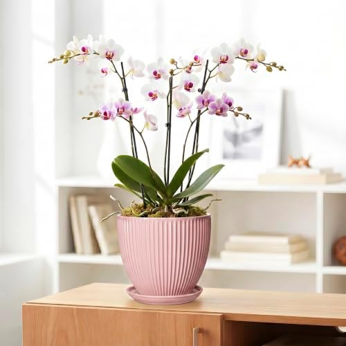 8 Inch Plant Pots Indoor, Ceramic Plant Pot for Snake Plants Flowers, Round Planters with Drainage Hole and Saucer, Decorative Modern Flower Pot, Kitchen Decor, Gifts for Plant Lovers, Pink - Image 5