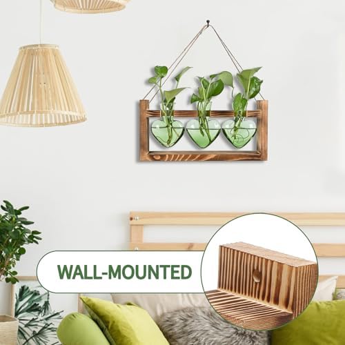 Plant Terrarium Propagation Stations Hydroponics - Image 3