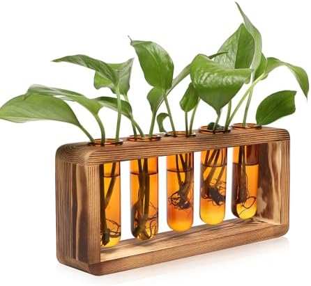 Glass Plant Propagation Station with 5 Test Tubes Colorful Planter Vase by YYHglass