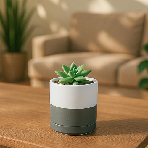 D'vine Dev 3.5 Inch Ceramic Planter Pot, White/Grey, 94-O-A-6 - Image 5