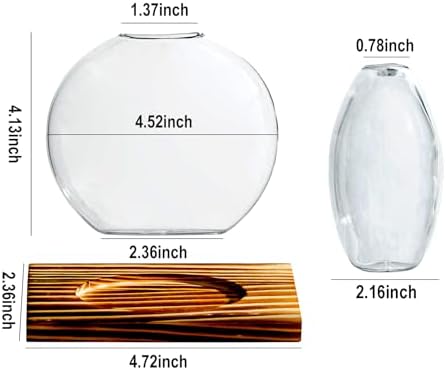Glass Planter Propagation Station with Wooden Base - Clear Oblate Hydroponic Vase, Decorative Desktop Flower Vase for Home, Office, Windowsill - Gift for Plant Lovers (2) - Image 2