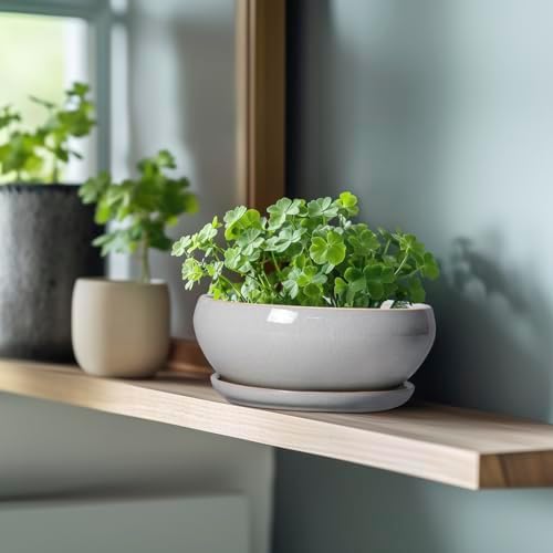 SQOWL Bonsai Tree Pots, 8 Inch Ceramic Plant Pots with Saucer, Gray - Image 5