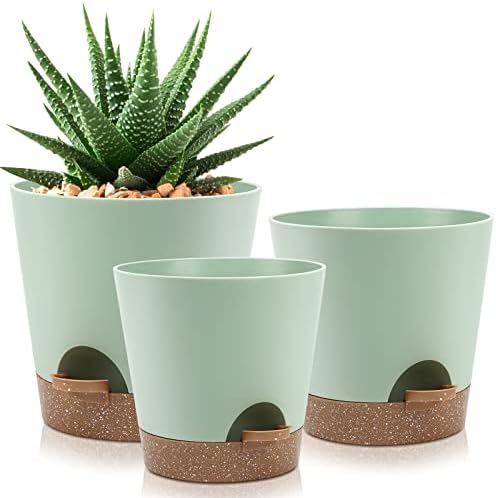 YNNICO Indoor Self Watering Planters with Drainage Holes and Saucers, 9,8, 7.5 Inches, Green, 3 Pots (Springgreen) by AFamilyofGardenLovers