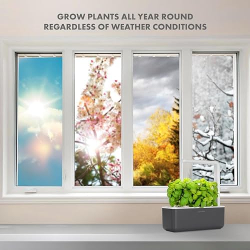 Click & Grow Indoor Herb Garden Kit with Grow Light | Smart Garden for Home Kitchen Windowsill | Easier Than Hydroponics Growing System | Vegetable Gardening Starter (3 Basil Pods Included), Grey - Image 5