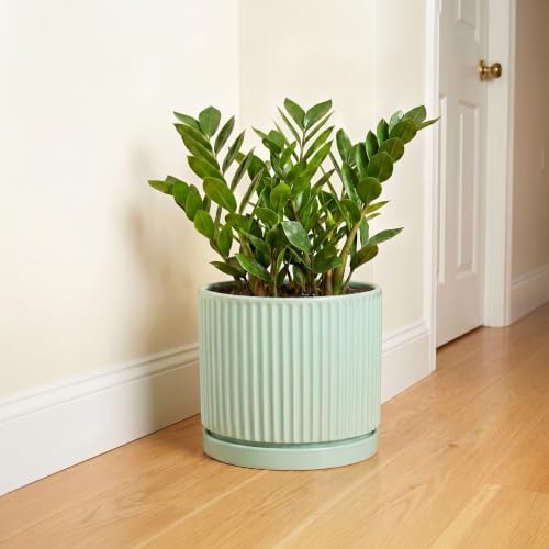 Ceramic Planter, 10 Inch Flower Pot with Saucer, Mint Green - Image 6