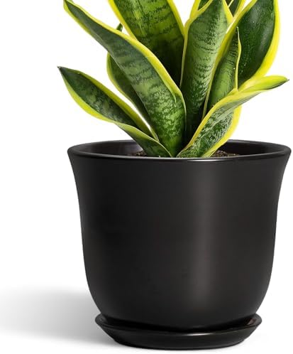 8 Inch Plant Pot - Ceramic Pots for Plants with Drainage Hole and Saucer, Round Planter for Indoor Outdoor, Modern Flower Pot, Gifts for Plant Lovers, Home Room Garden Porch Decor, Black by SUNPOTFOR