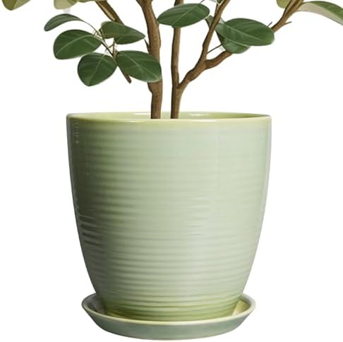 Ceramic Planter - 10 Inch Plant Pot for Indoor Outdoor with Drainage Hole and Plant Tray, Modern Round Home Office Patio Room Decor, House Warming Gifts, Green by EPFamily
