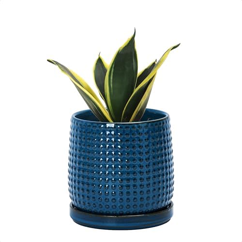 D'vine Dev Beaded Ceramic Pot with Saucer, 4 in, Midnight Blue, 27-C-Z-3 by DvineDevPlanterPotsandStand