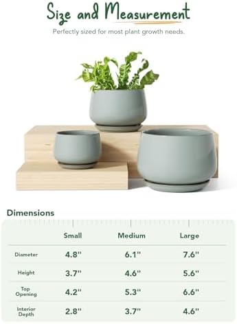 LE TAUCI Plant Pots for Indoor Plants, 4.1+5.1+6.5 inch, Set of 3, Ceramic Planters with Drainage Hole and Saucer, Indoor Flower Pot with Hole Mesh Pad, Gifts for Mom, Reactive Glaze Blue Gray - Image 5