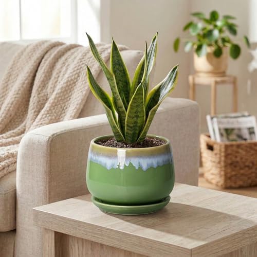 Ceramic Planter 6 Inch - Ceramic Pots for Plants with Drainage and Saucer, Decorative Small Succulent Pots for Indoor Plants, Round Plant Pot, House Decor, House Warming Gifts, Green-Blue - Image 5