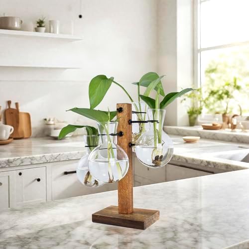 Plant Propagation Station with Acacia Wood Stand and 4 Glass Vases by E-ROOMTREND