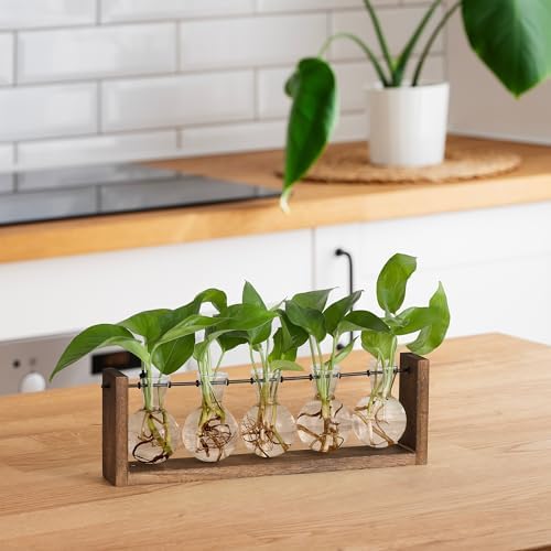 YIBOT Wall Hanging Glass Planter Plant Propagation Vase-5 Bulb Glass Vases - Image 5