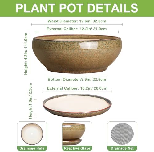 SQOWL Ceramic Bonsai Pots, 12 Inch Succulent Pots with Saucer, Brown - Image 2